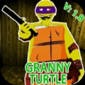 Granny Turtle