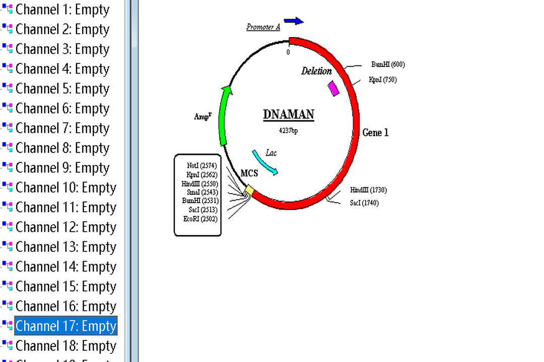 DnaMan