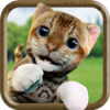 可爱的猫模拟器Cute Cat Simulator Games